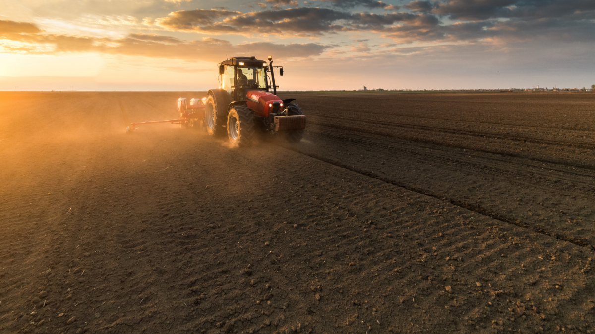 Agriculture