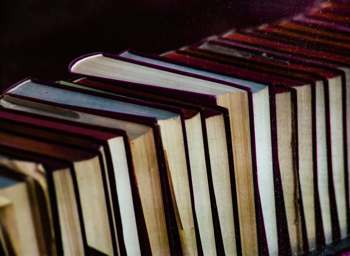 Les nuits de la lecture : villes et campagne - Image - Mouvement démocrate
